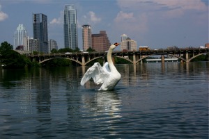 AustinBusinessnews180