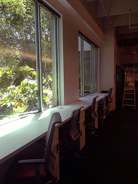 Hot desking with a view