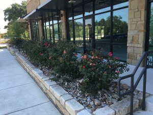 including in the Austin area