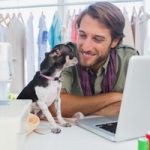 dogs-at-office-stress-free