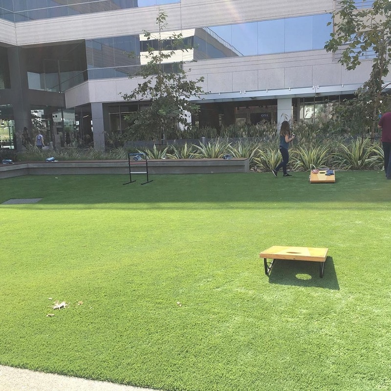 Office building with outdoor green area