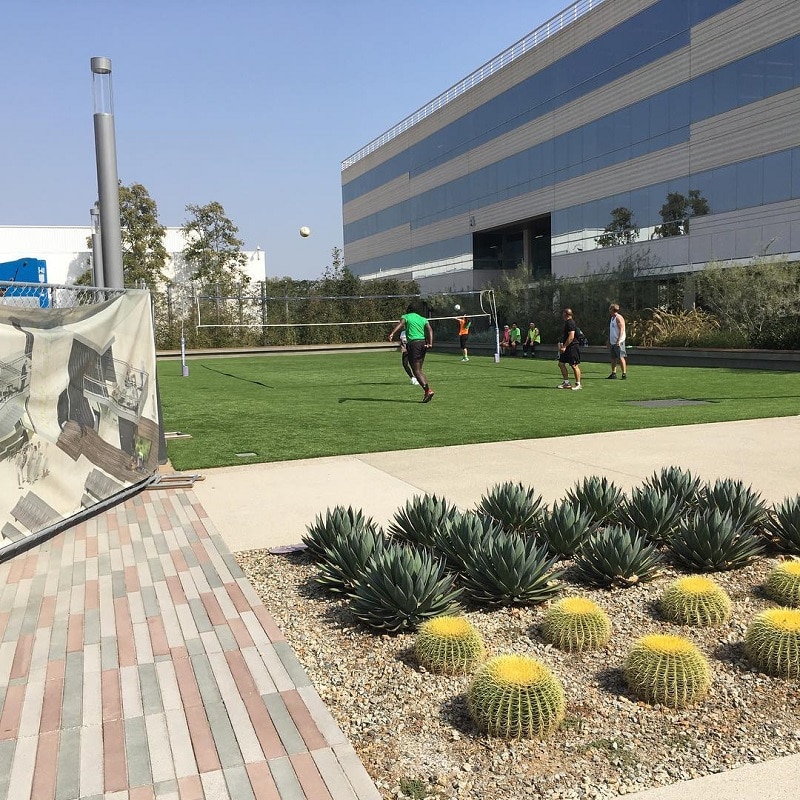 Office space with outdoor green area